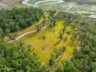 24 Carriage Drive | 8.51 Acres | Jones Creek | Dock, Lift & - photo 9