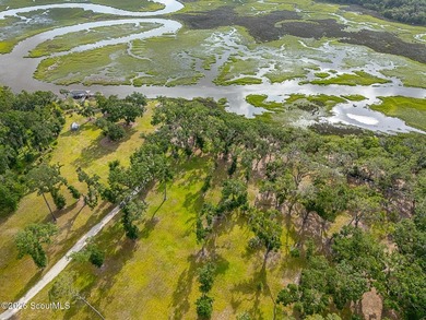 24 Carriage Drive | 8.51 Acres | Jones Creek | Dock, Lift & - photo 10