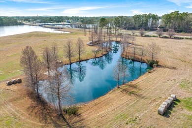 SPECTACULAR LUXURY ESTATE with 9,442 total livable SQFT and - photo 9