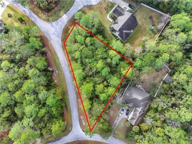 Gated coastal Georgia lot with community pool, clubhouse, dock - photo 1