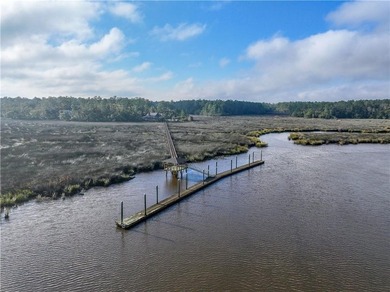 Gated coastal Georgia lot with community pool, clubhouse, dock - photo 4