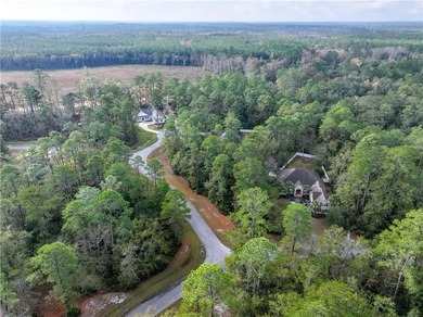 Gated coastal Georgia lot with community pool, clubhouse, dock - photo 8