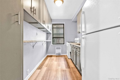 Spacious and sunlit, this one-bedroom, one-bathroom co-op in - photo 11