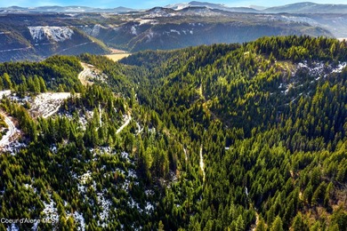 St. Joe River Acreage For Sale in Saint Maries Idaho