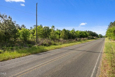 Here is the lot you have been looking for! Right at 5 acres with - photo 3