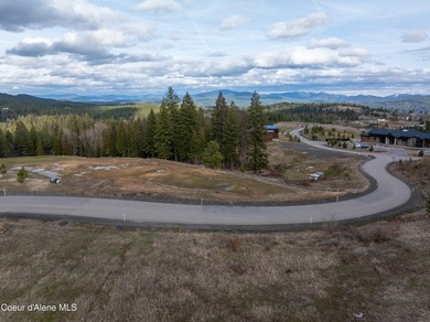 Homesite 68 features sweeping territorial views without - photo 1