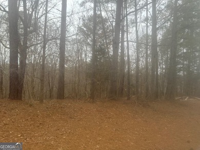 Lake Acreage For Sale in Lithonia, Georgia