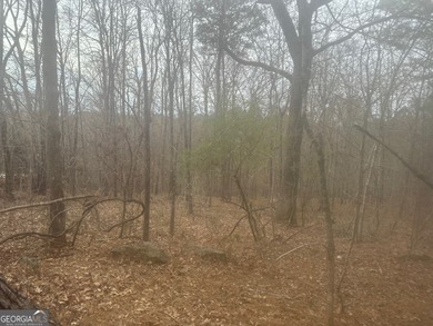 Bring your builder to build your dream home on this amazing lot - photo 2