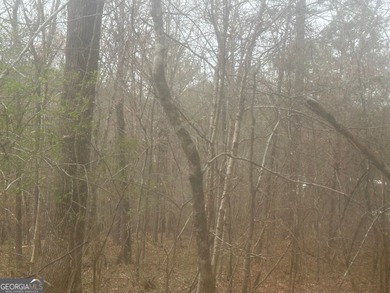 Bring your builder to build your dream home on this amazing lot - photo 4