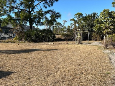 Welcome to this immaculate move in ready home on a double lot - photo 21