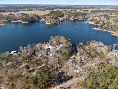 Smith Lake (Spring Branch) An exceptional property all the way - photo 44