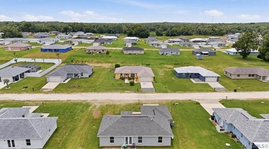 Welcome to this beautifully upgraded, move-in ready 2023 home - photo 38