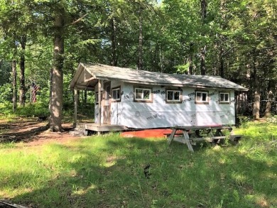 RUSTIC ONE ROOM CABIN WITH APPROX.100 FEET FRONTAGE ON BRANN'S - Lake Home For Sale in Dover-Foxcroft, Maine