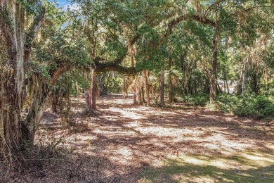 Tolomato Island on the Georgia Coast! Build your coastal retreat - photo 1