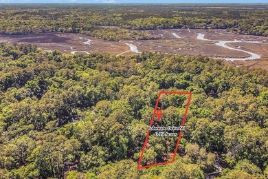 Tolomato Island on the Georgia Coast! Build your coastal retreat - photo 2