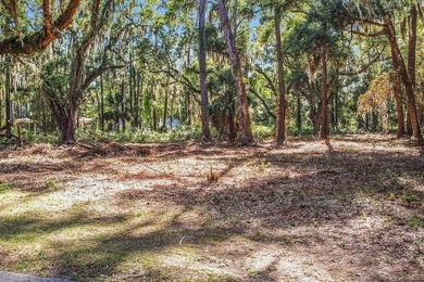 Tolomato Island on the Georgia Coast! Build your coastal retreat - photo 3