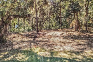 Tolomato Island on the Georgia Coast! Build your coastal retreat - photo 4