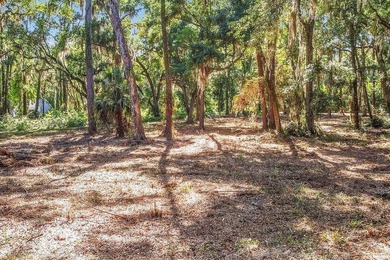Tolomato Island on the Georgia Coast! Build your coastal retreat - photo 5