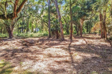 Tolomato Island on the Georgia Coast! Build your coastal retreat - photo 6