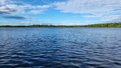 Rhinelander Flowage - Chain of Lakes Lot For Sale in Rhinelander Wisconsin