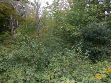23 acres of nicely wooded and open land near Lake Hortonia - photo 6