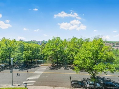 Welcome to 2 Fordham Hill Oval #5B. Move-In ready. As you enter - photo 17