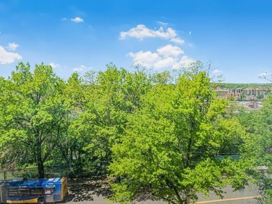 Welcome to 2 Fordham Hill Oval #5B. Move-In ready. As you enter - photo 19