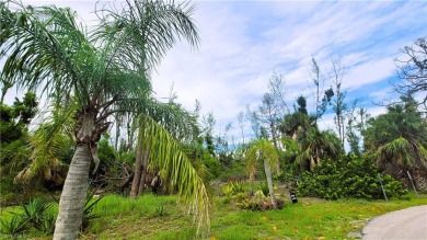  Lot For Sale in Other Florida