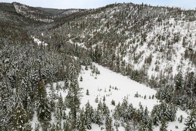 A once in a lifetime opportunity to own a remarkable 607-acre - photo 5