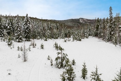 A once in a lifetime opportunity to own a remarkable 607-acre - photo 6