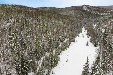 A once in a lifetime opportunity to own a remarkable 607-acre - photo 7