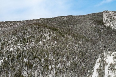 A once in a lifetime opportunity to own a remarkable 607-acre - photo 9