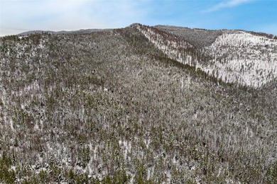 A once in a lifetime opportunity to own a remarkable 607-acre - photo 10