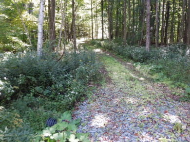 23 acres of nicely wooded and open land near Lake Hortonia - photo 9
