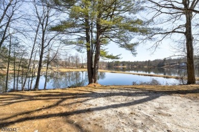Lake Townhome/Townhouse For Sale in Montague Twp., New Jersey