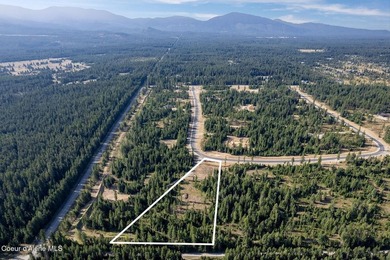 Set on five private, lightly wooded acres in The Estates at - photo 10