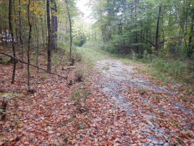 23 acres of nicely wooded and open land near Lake Hortonia - photo 3
