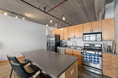 Live in true modern loft living in the heart of the North Loop - photo 5