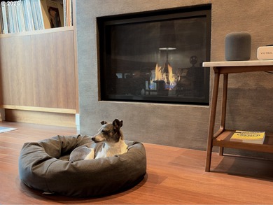 Buyer incentive program! Buy this beautiful condo today with the