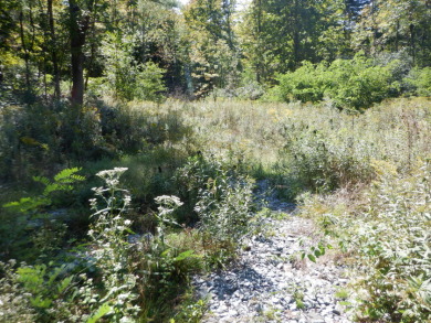 23 acres of nicely wooded and open land near Lake Hortonia - photo 12