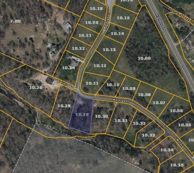 Bear Creek Estates is a scenic community located on the corner - photo 9