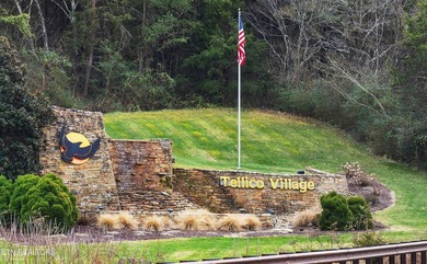 Welcome to your dream retirement lifestyle located in Tellico - photo 36