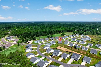 Beautifully maintained home in one of Diamondhead's newest - photo 40