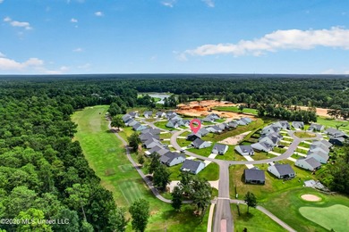 Beautifully maintained home in one of Diamondhead's newest - photo 43