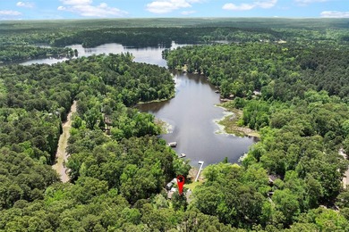 Looking for tranquility on the Lake???? Look no further!!!! This - photo 2