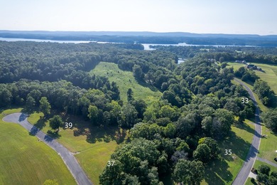 1.99 acres, half of Lot 38 has been added to lot 39. Creek front - photo 4