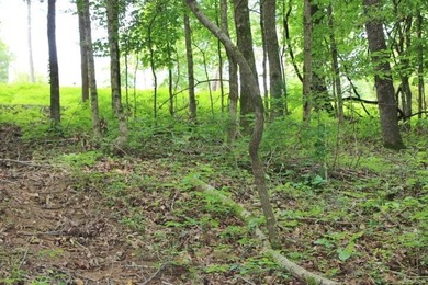 BEST PRICED LAKE FRONT & LAKEVIEW LOT WITH A BOAT SLIP APPROVED - photo 4