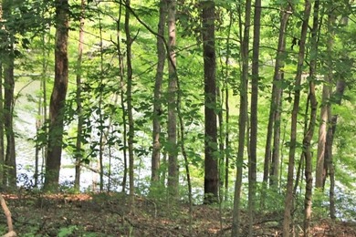 BEST PRICED LAKE FRONT & LAKEVIEW LOT WITH A BOAT SLIP APPROVED - photo 5