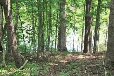 BEST PRICED LAKE FRONT & LAKEVIEW LOT WITH A BOAT SLIP APPROVED - photo 6