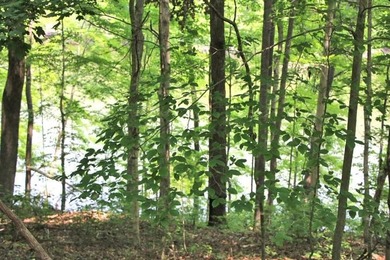 BEST PRICED LAKE FRONT & LAKEVIEW LOT WITH A BOAT SLIP APPROVED - photo 7
